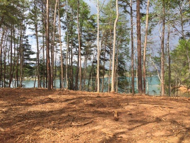 474 Peninsula Ridge, Unit P2 69 Sunset, SC 29685 - Photo 3 of 22 Level lot perfect for building.
