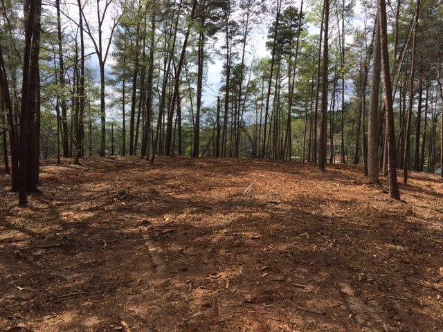 474 Peninsula Ridge, Unit P2 69 Sunset, SC 29685 - Photo 4 of 22 Build site allows for private drive access to home