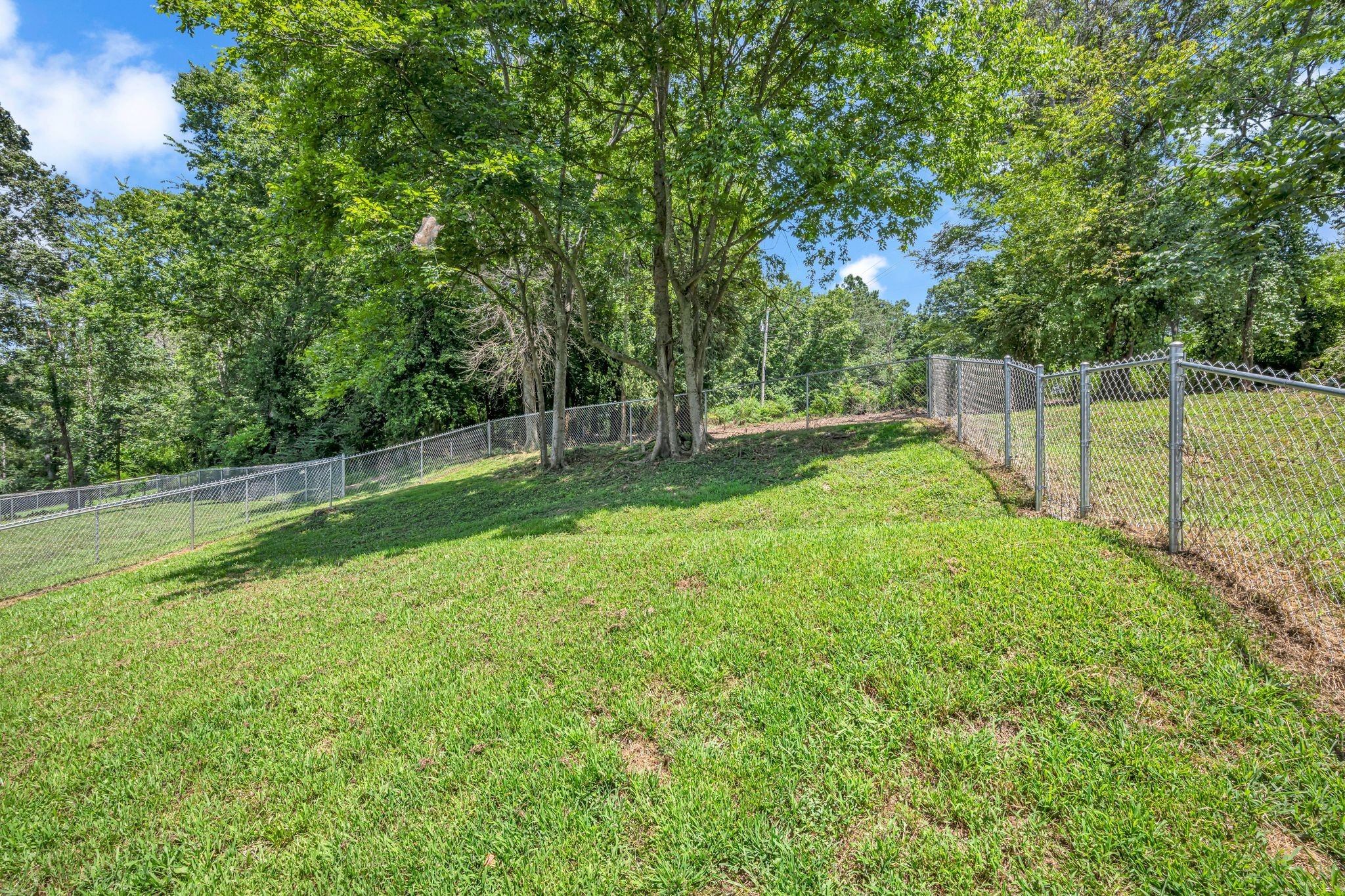 1116 Taylortown Road White Bluff, TN 37187 - Photo 29 of 29 a view of a park with large trees