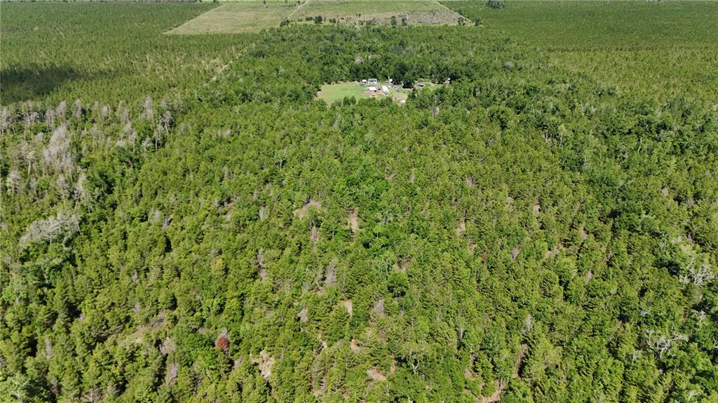 Union Way Lee, FL 32059 - Photo 15 of 15