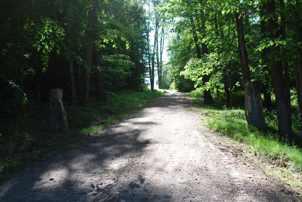 237 Monument Valley Road Great Barrington, MA 01230 - Photo 6 of 6 Drive