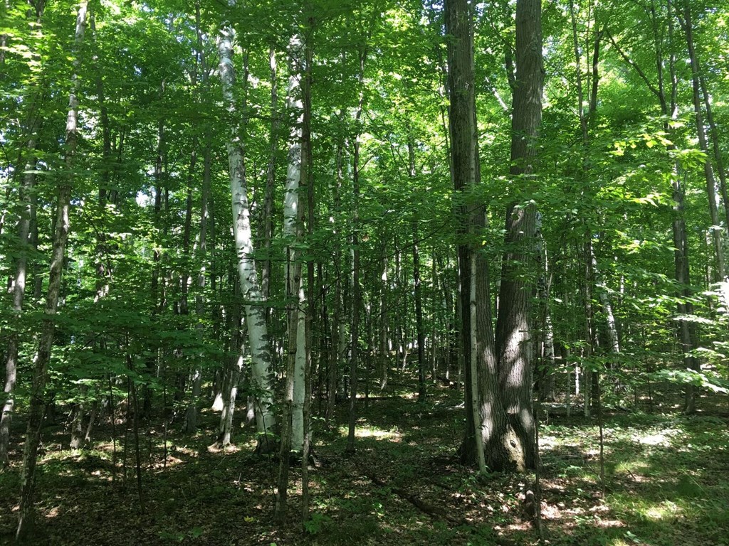 Tbd Harbor Heights Road Egg Harbor, WI 54209 - Photo 12 of 13 Gallery Image 12