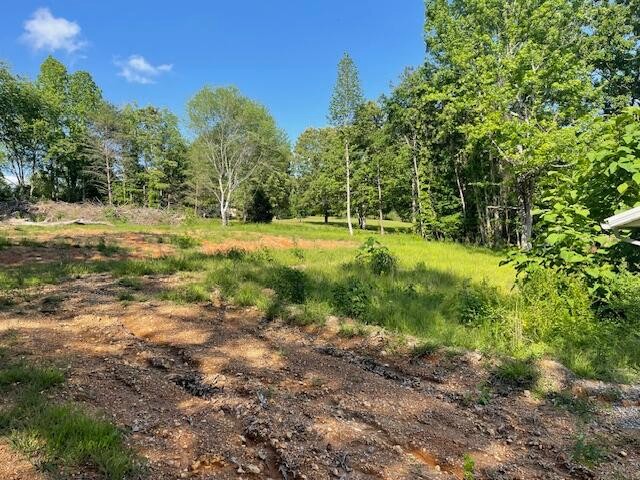 6283 Cooley Road Harrison, TN 37341 - Photo 14 of 20 Gallery Image 14