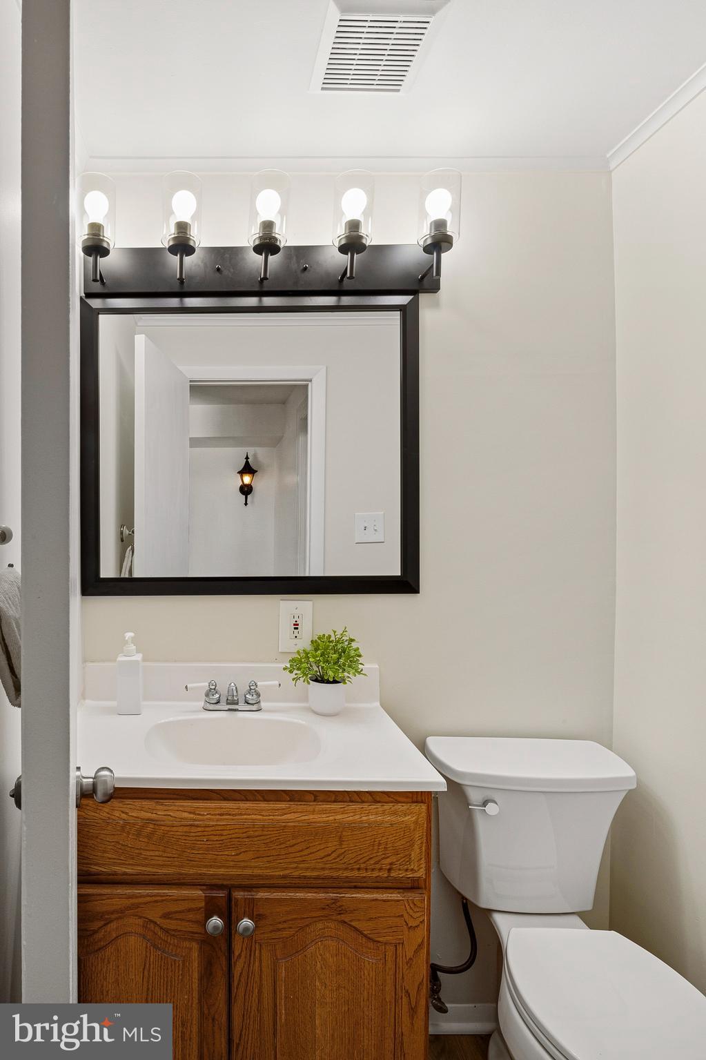 982 Fall Cir Way Gambrills, MD 21054 - Photo 25 of 32 a bathroom with a sink and a toilet