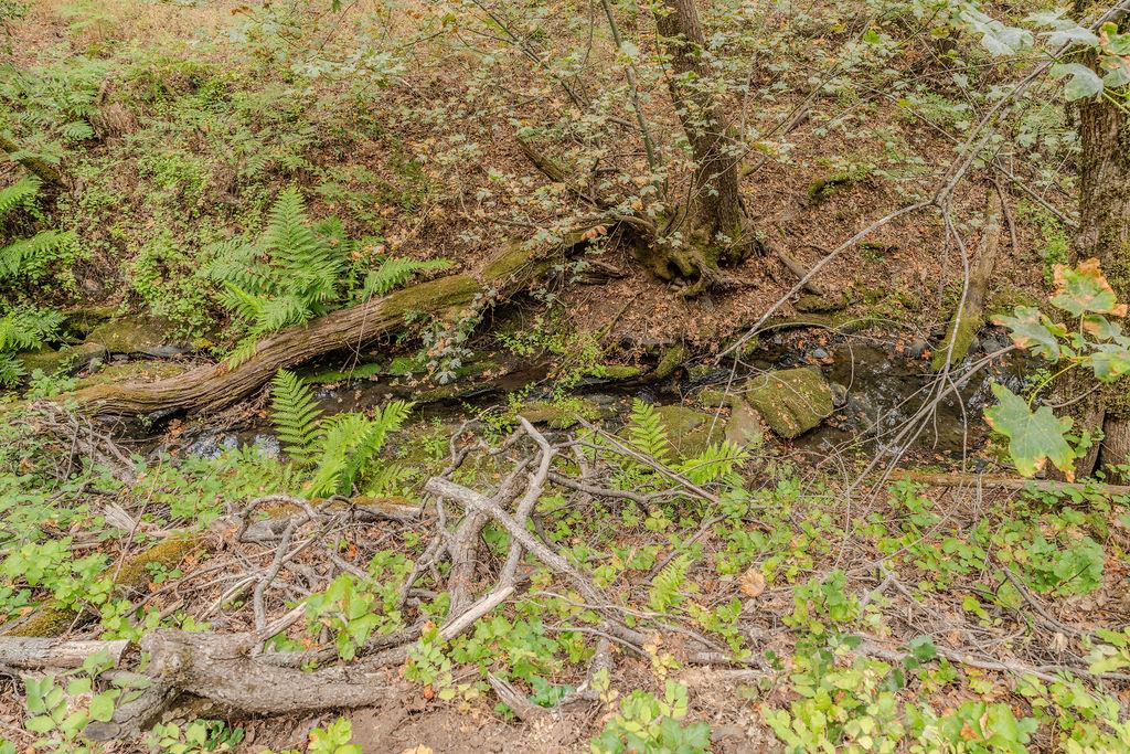 18101 Old River Road Fiddletown, CA 95629 - Photo 1 of 53 Gallery Image 1