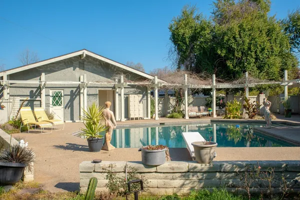 a view of a park with large trees