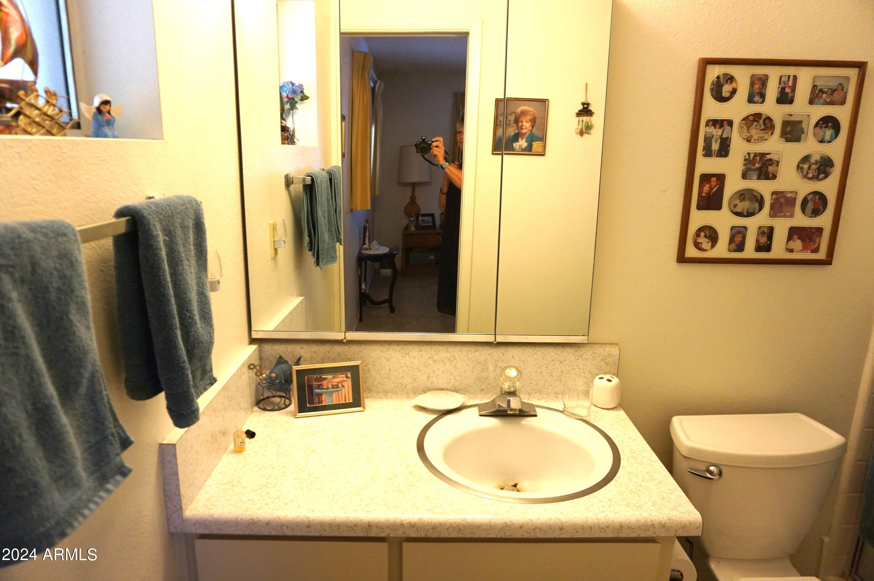 6109 East Decatur Street Mesa, AZ 85205 - Photo 7 of 25 Master Bath
