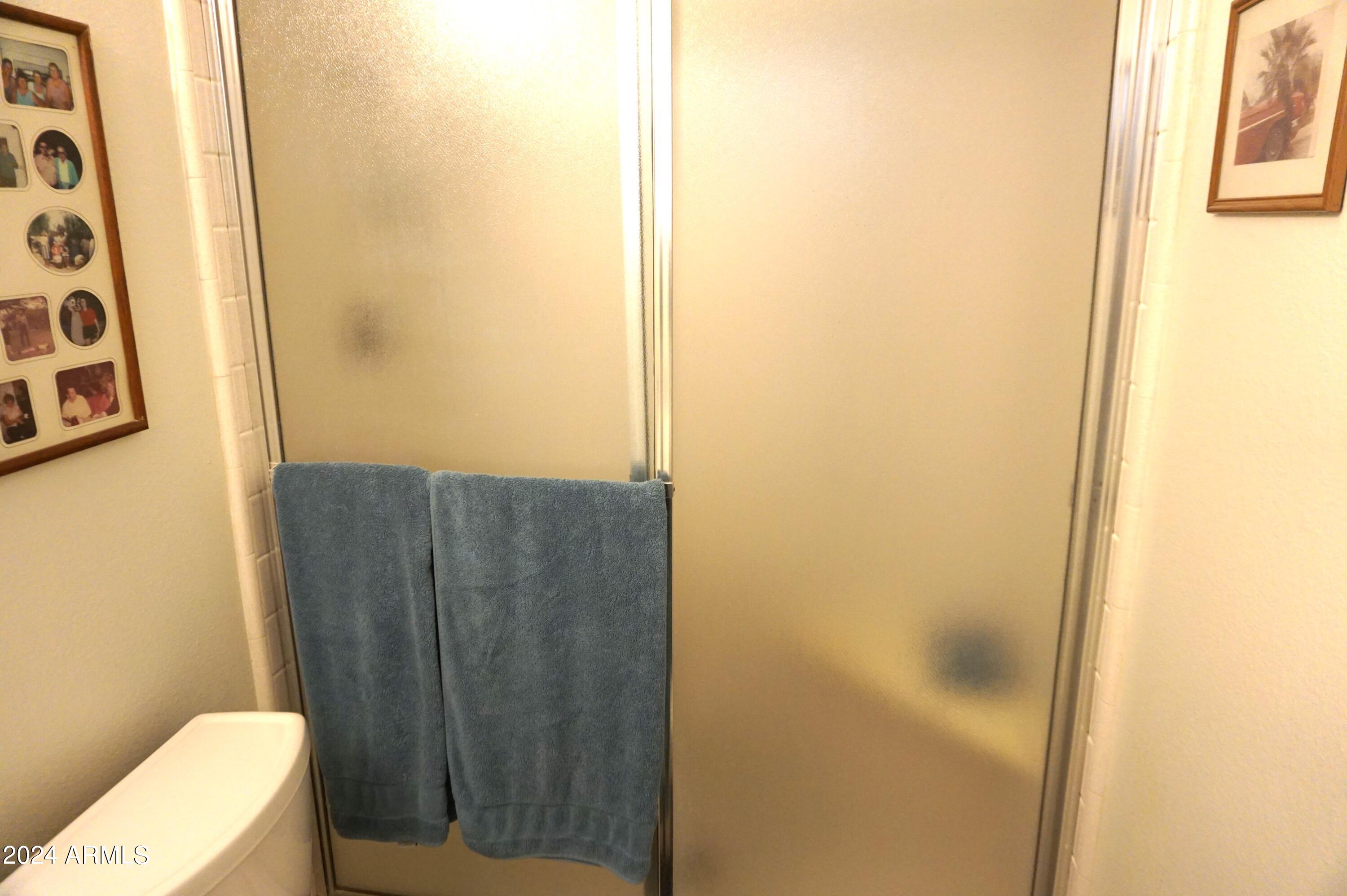 6109 East Decatur Street Mesa, AZ 85205 - Photo 8 of 25 Stand Up Shower