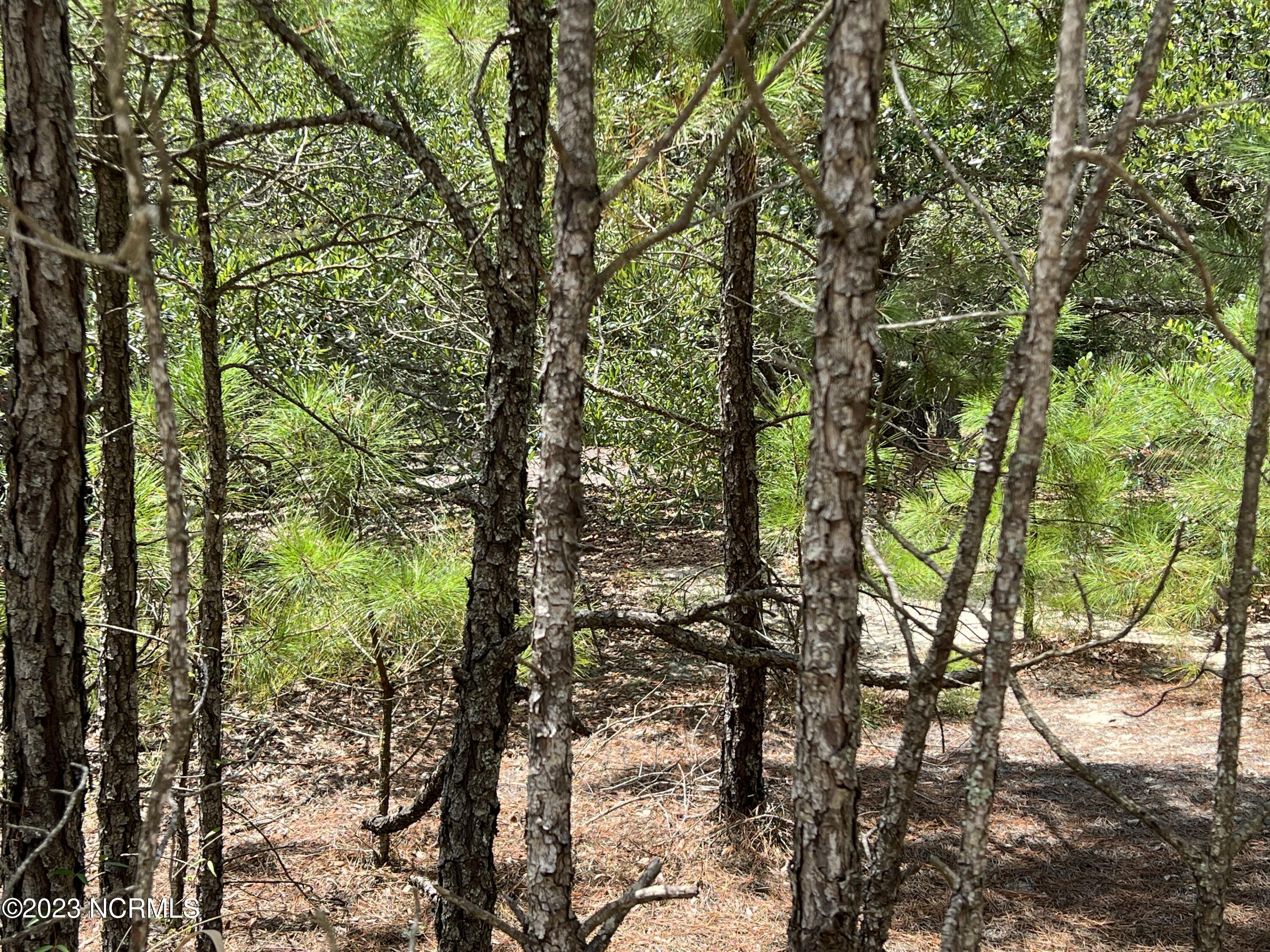 2312 Swan Island Road Corolla, NC 27927 - Photo 3 of 16 IMG_4299 2