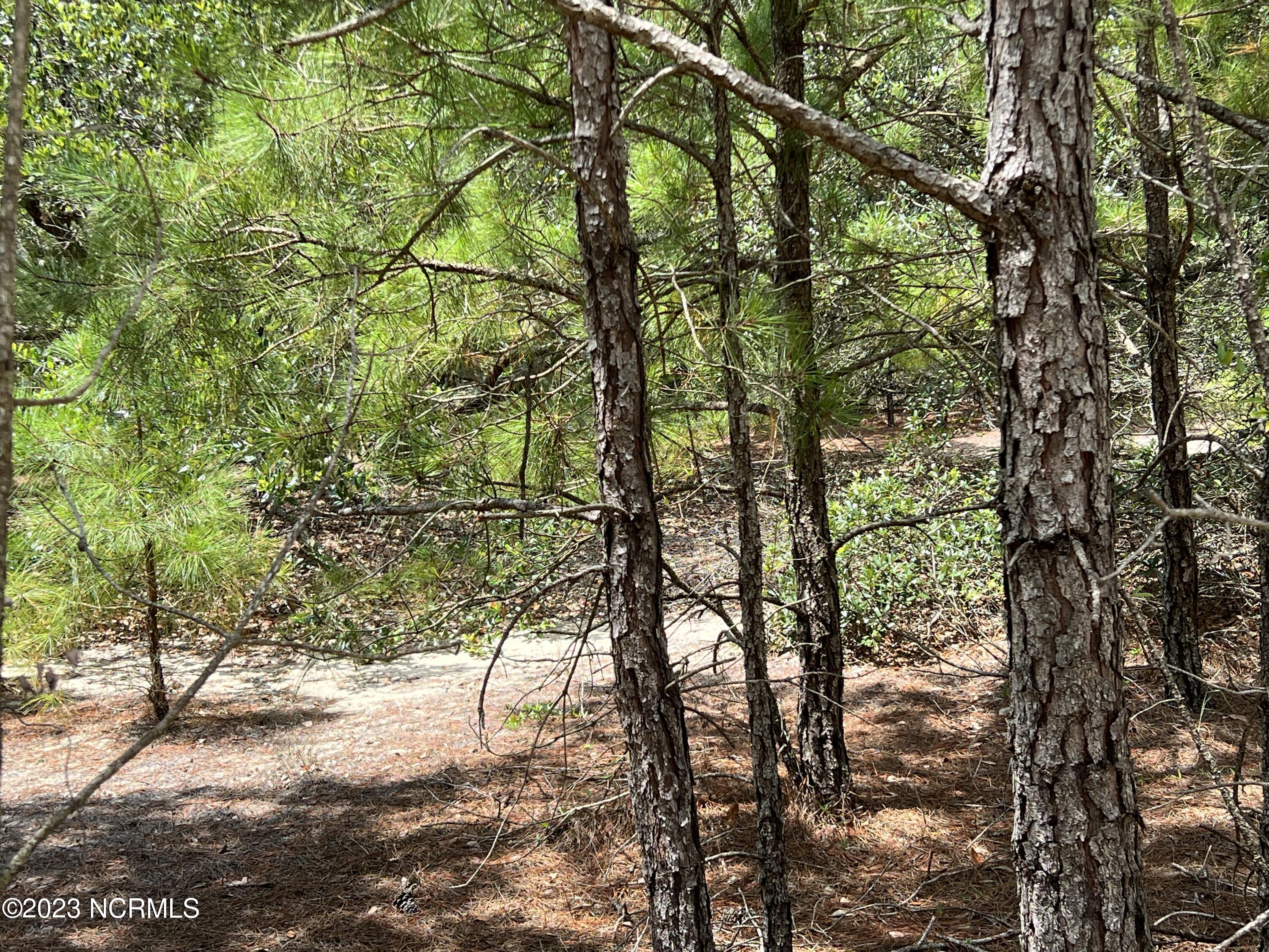 2312 Swan Island Road Corolla, NC 27927 - Photo 4 of 16 IMG_4298 2