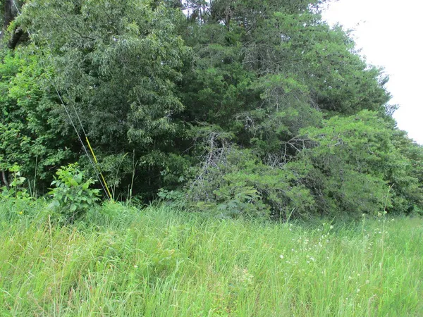 $399,000 | 8827 Ooltewah Cemetery Road, Ooltewah, TN 37363