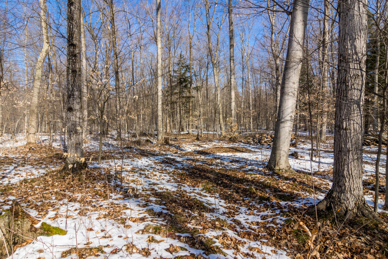 5380 Sylvan Point Road Honor, MI 49640 - Photo 58 of 66 56-Scene-49