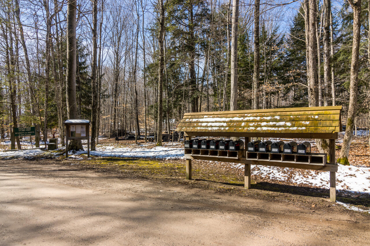 5380 Sylvan Point Road Honor, MI 49640 - Photo 63 of 66 13-Scene-6