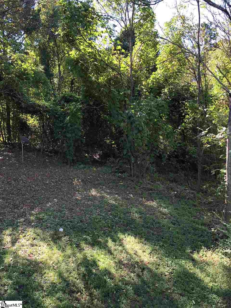 3166 State Park Road Greenville, SC 29609 - Photo 13 of 14
