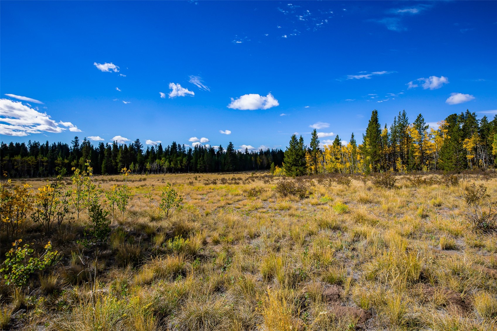 660 Renshaw Road Fairplay, CO 80440 - Photo 9 of 40 Gallery Image 9