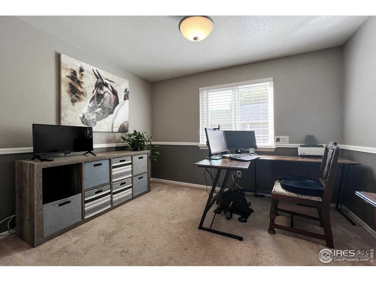 7982 Liley Avenue Frederick, CO 80530 - Photo 28 of 40 Easily customize this space to fit your needs.