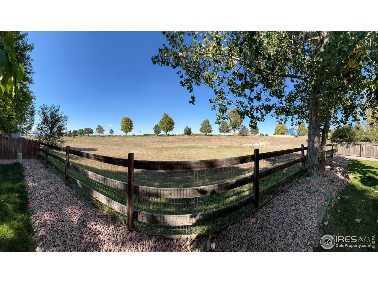 7982 Liley Avenue Frederick, CO 80530 - Photo 35 of 40