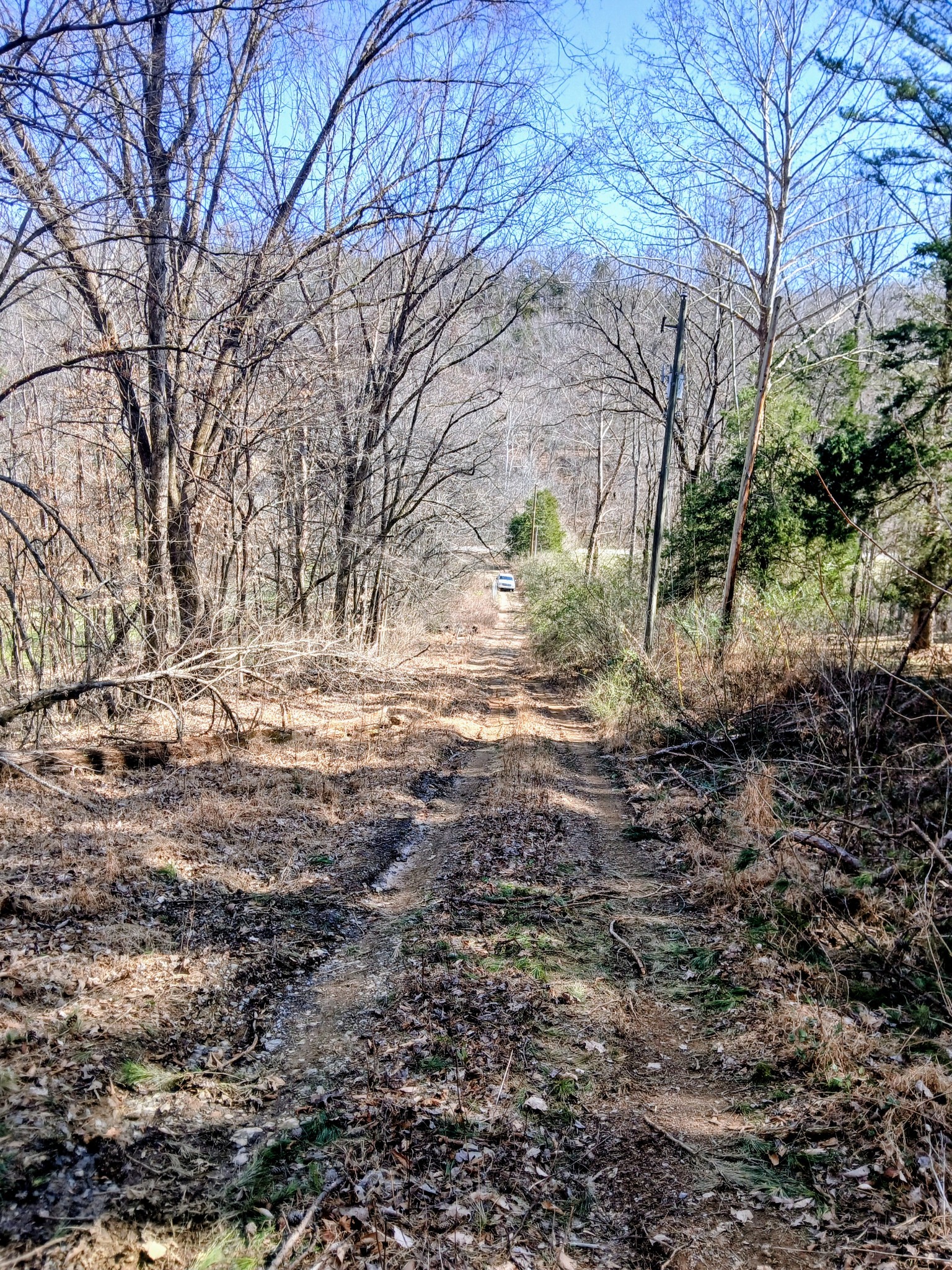 1014 Indian Springs Road Pegram, TN 37143 - Photo 1 of 1
