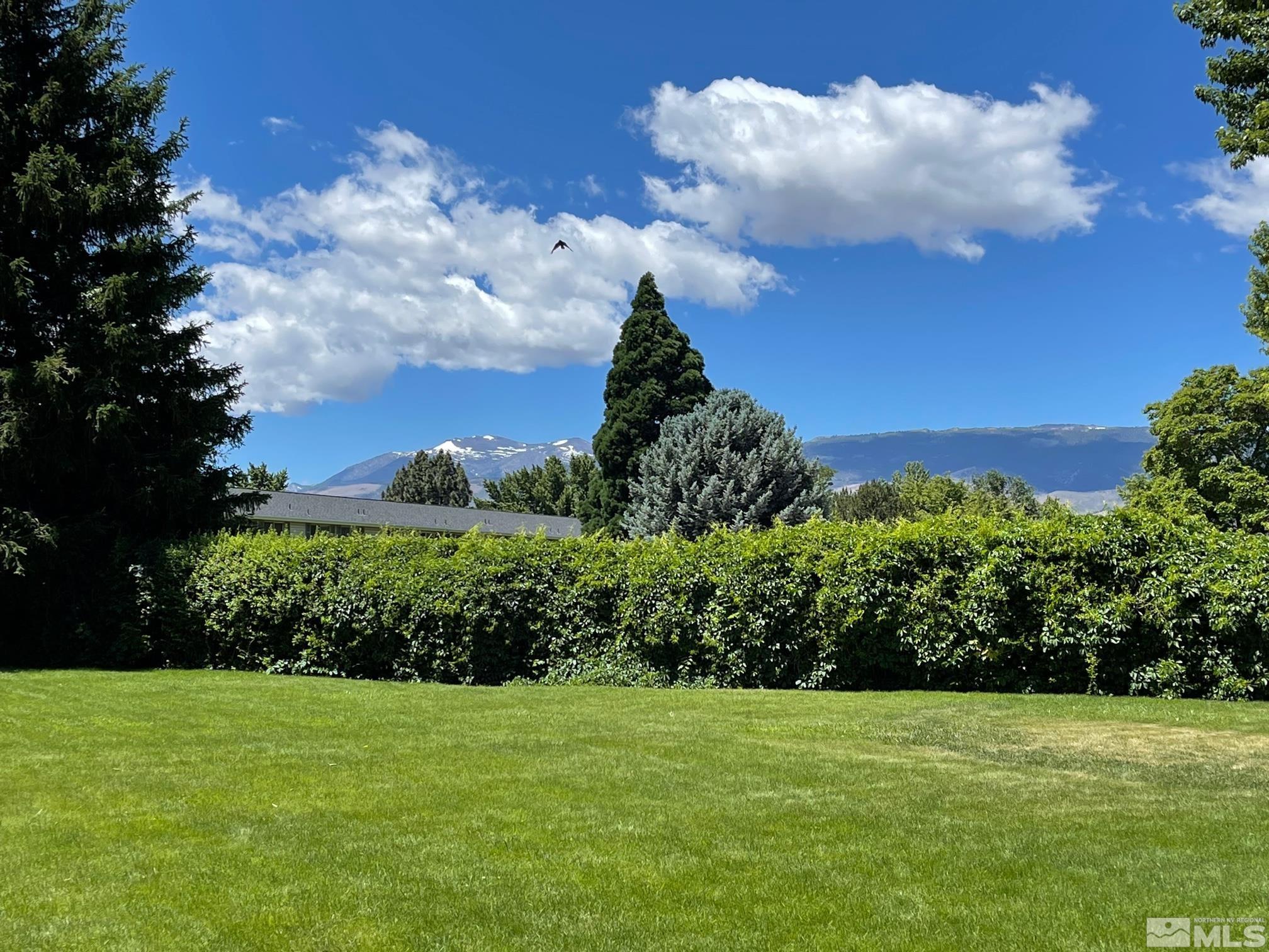 102 Smithridge Reno, NV 89502 - Photo 19 of 20 a view of a big yard with plants and large trees