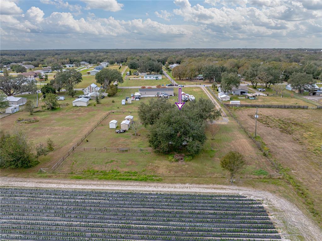 3006 Clemons Road Plant City, FL 33566 - Photo 77 of 87 Gallery Image 77