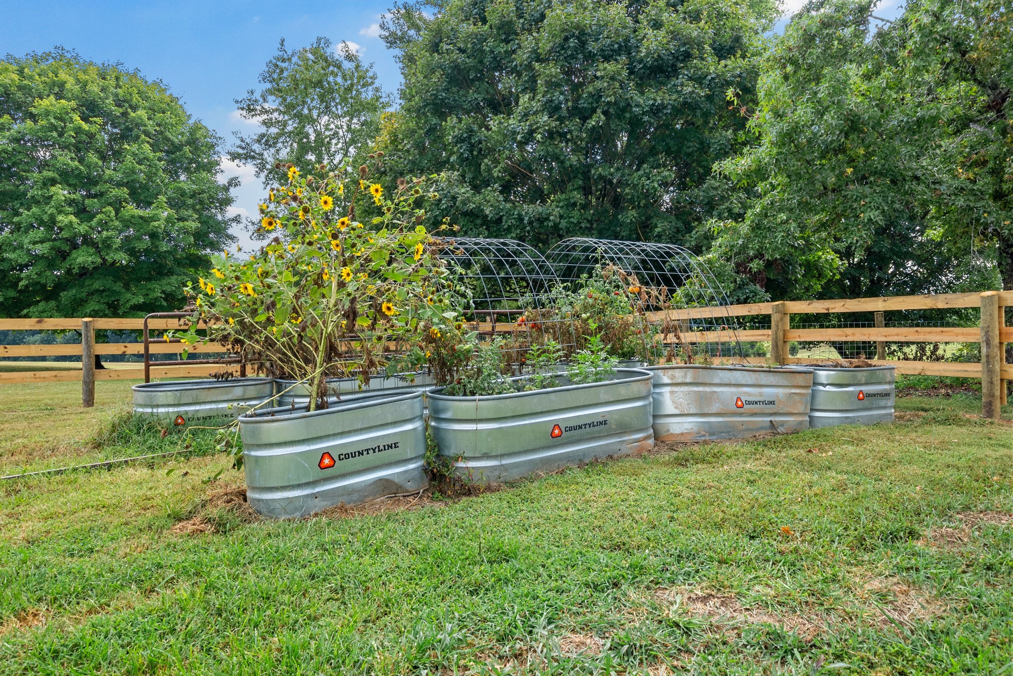 2952 Old Clarksville Springfield Road Adams, TN 37010 - Photo 44 of 50