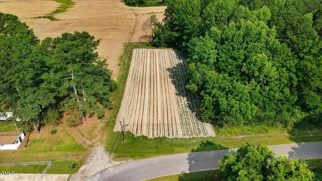 a view of a yard with plants