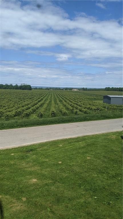 11731 Middle Road North East, PA 16428 - Photo 10 of 20 View from 2nd floor front window - beautiful vineyards and Lake Erie.