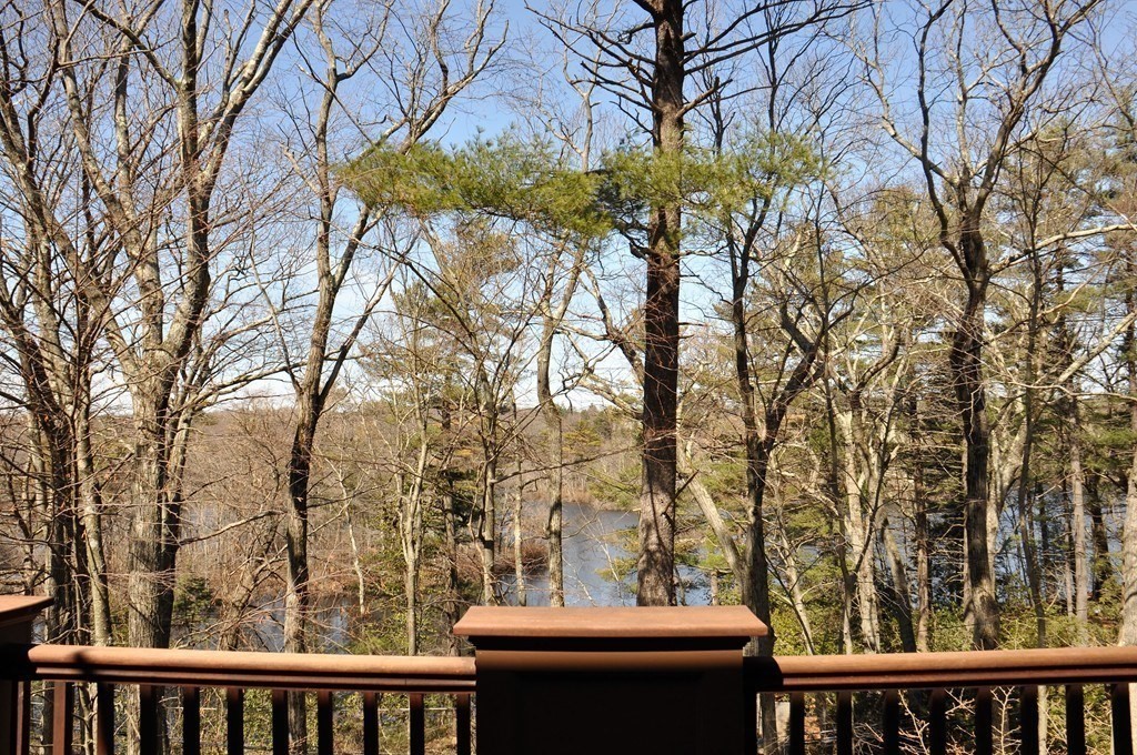 250 Meadowbrook Road Dedham, MA 02026 - Photo 11 of 41