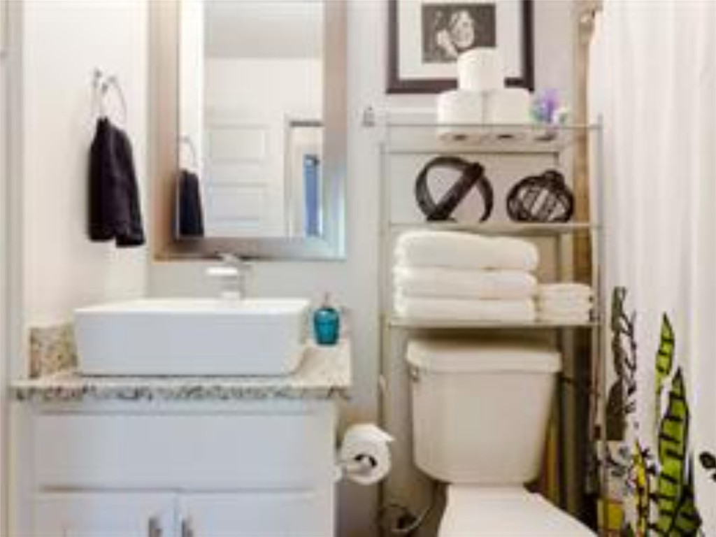1139 1/2 Poquito Street, Unit 3 Austin, TX 78702 - Photo 17 of 23 a bathroom with a toilet sink and mirror