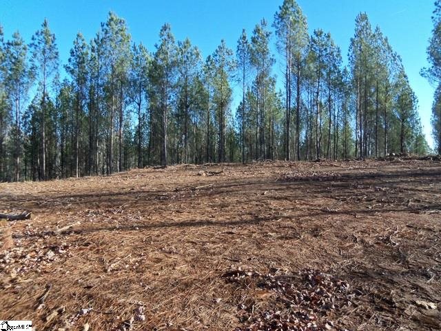 517 Slatton Shoals Road Pelzer, SC 29669 - Photo 2 of 15