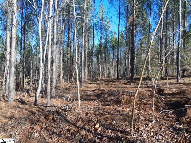 517 Slatton Shoals Road Pelzer, SC 29669 - Photo 3 of 15
