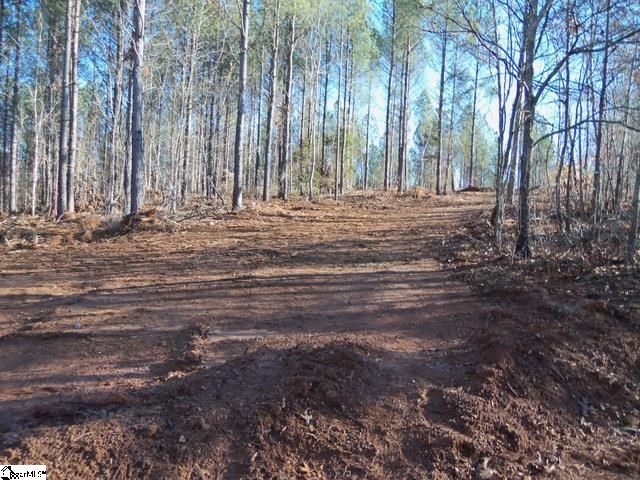517 Slatton Shoals Road Pelzer, SC 29669 - Photo 4 of 15