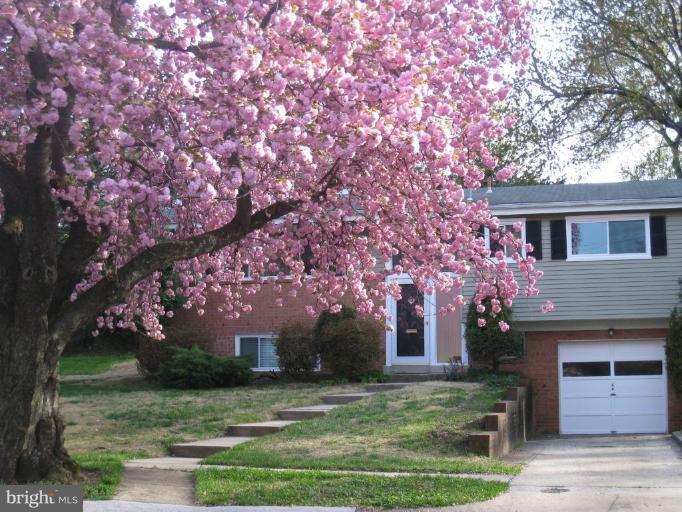 718 North Belgrade Court Silver Spring, MD 20902 - Photo 1 of 12 Exterior (Main)