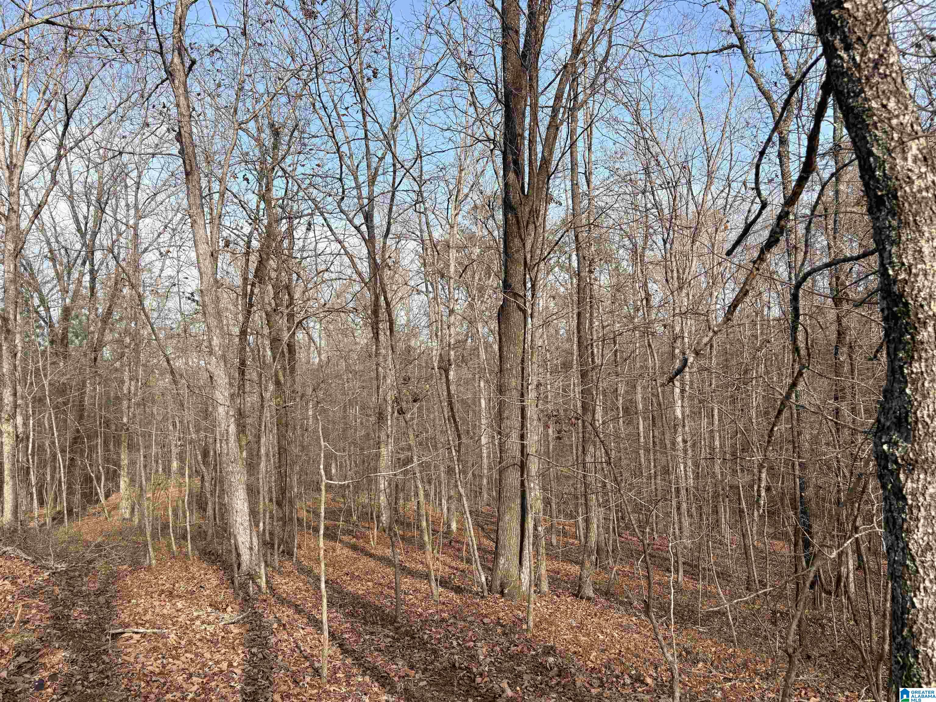 4540 Cabin Road, Unit 4 AND 6 Bessemer, AL 35022 - Photo 5 of 13