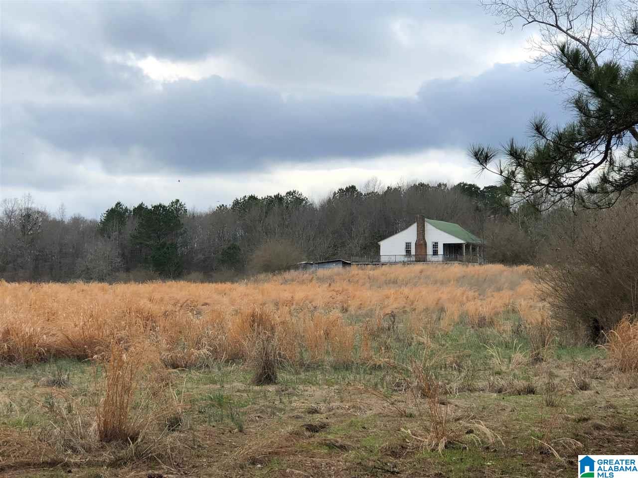433 County Road 110 Randolph, AL 36792 - Photo 3 of 12