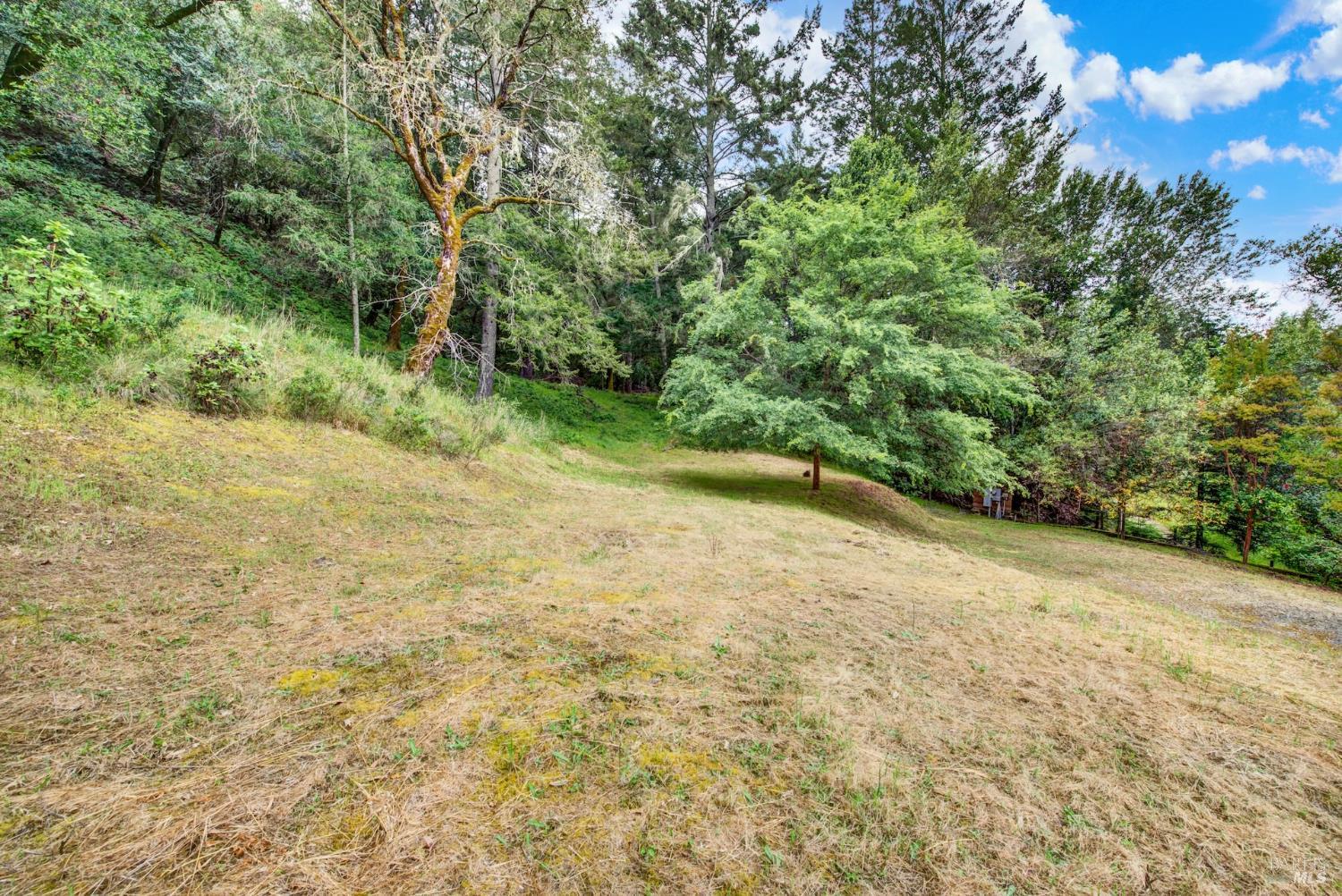 4615 Dry Creek Road Napa, CA 94558 - Photo 11 of 31 a view of a yard with a tree