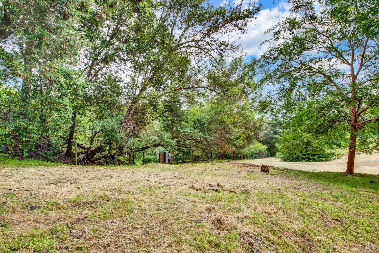 4615 Dry Creek Road Napa, CA 94558 - Photo 12 of 31 a view of a yard with a tree