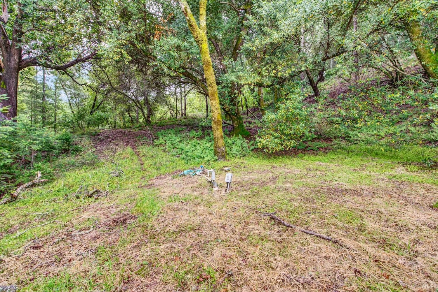 4615 Dry Creek Road Napa, CA 94558 - Photo 13 of 31 a view of a yard with a tree