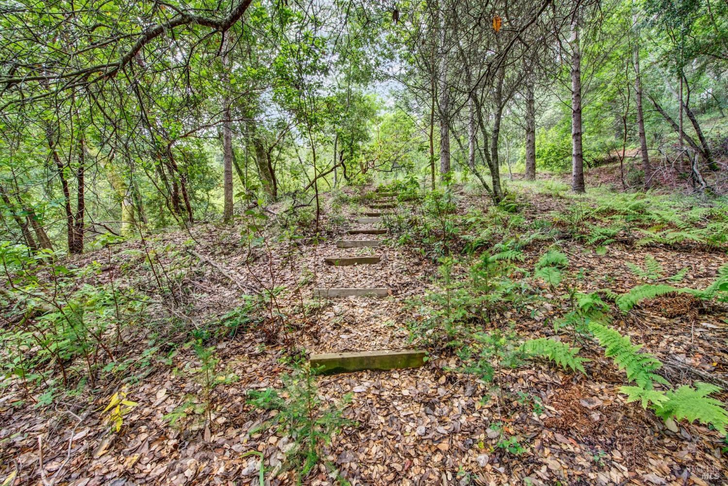4615 Dry Creek Road Napa, CA 94558 - Photo 14 of 31 a big yard with lots of green space and deers
