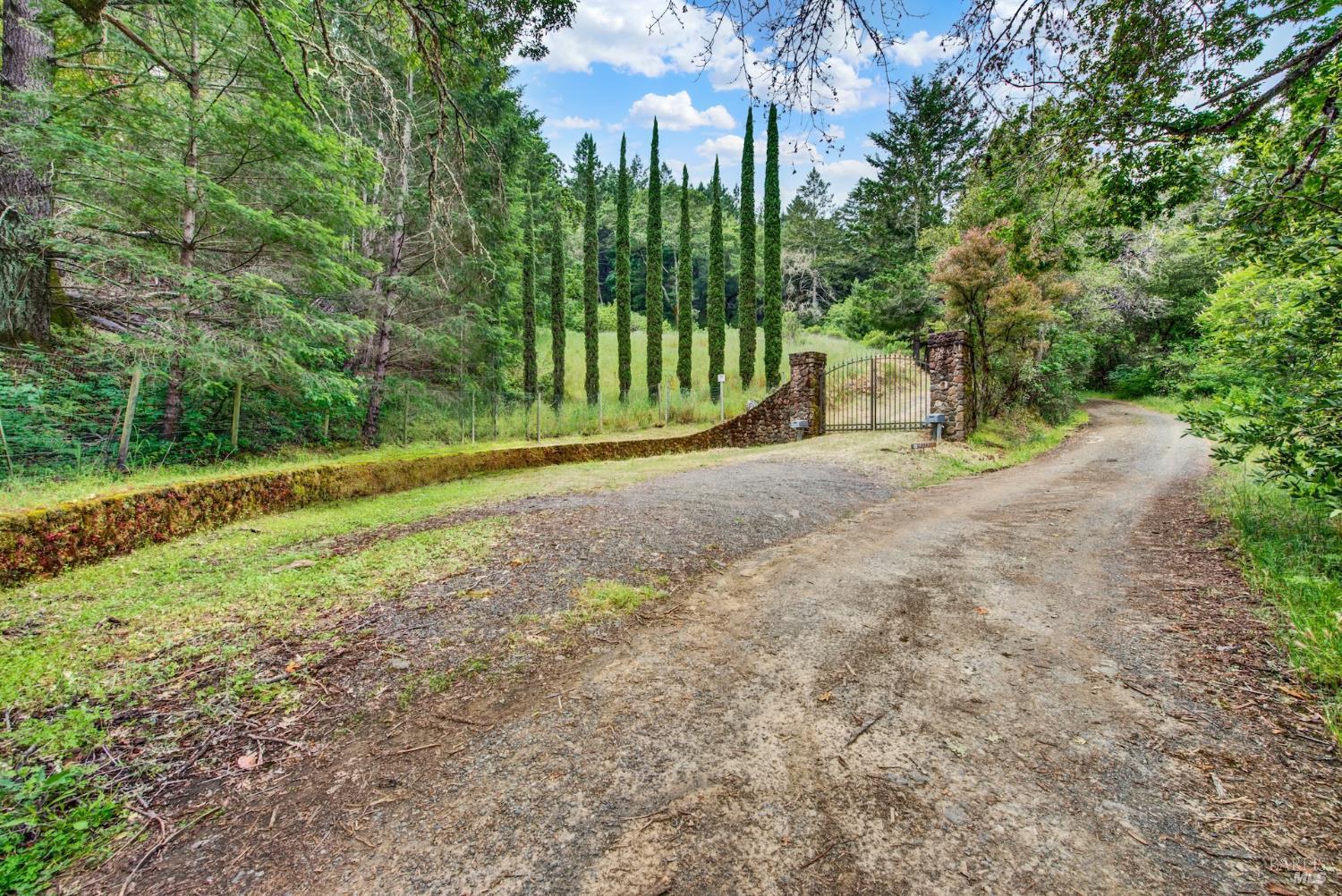 4615 Dry Creek Road Napa, CA 94558 - Photo 16 of 31 a view of a yard with plants and trees