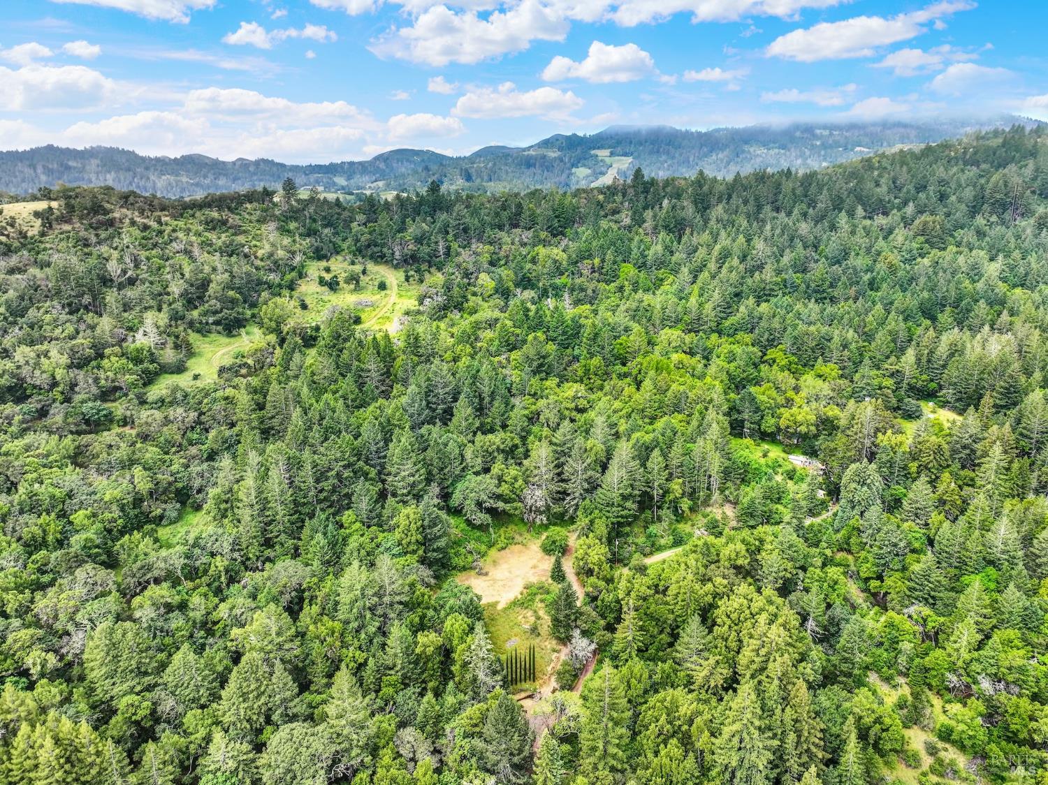 4615 Dry Creek Road Napa, CA 94558 - Photo 17 of 31 a view of a city with lush green forest