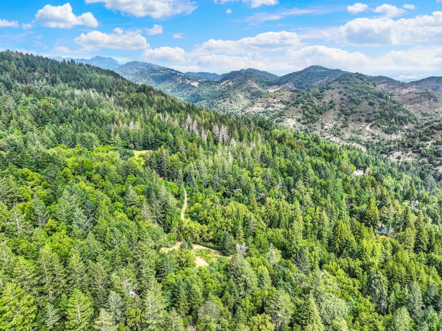 4615 Dry Creek Road Napa, CA 94558 - Photo 19 of 31 a view of a city with lush green forest