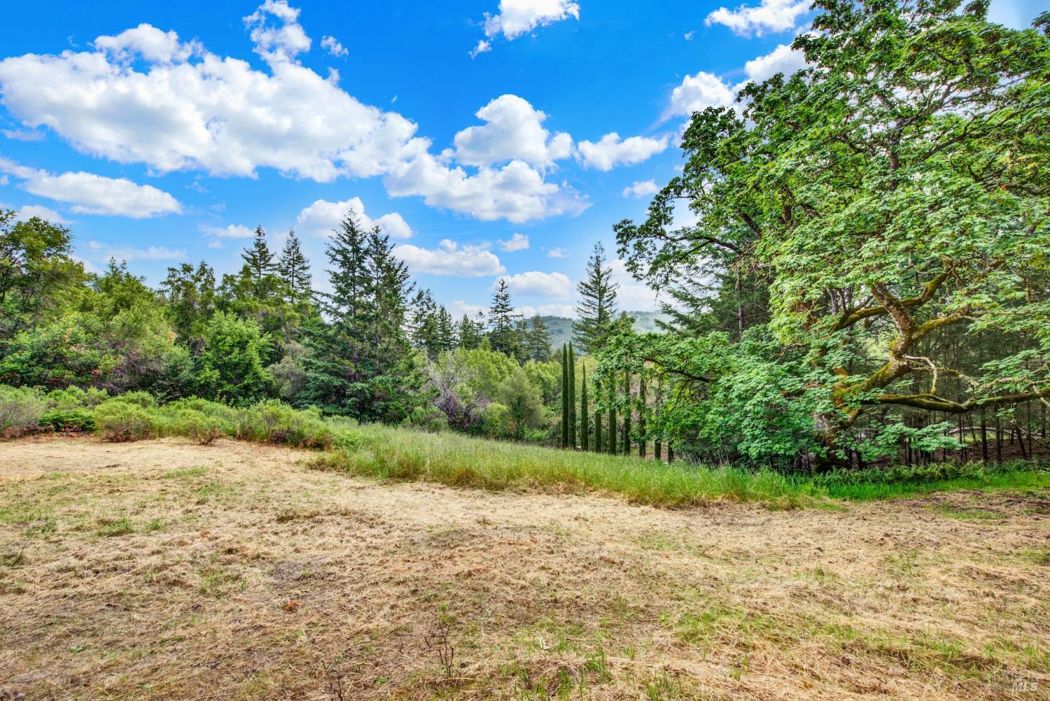 4615 Dry Creek Road Napa, CA 94558 - Photo 2 of 31 a view of a pathway both side of yard