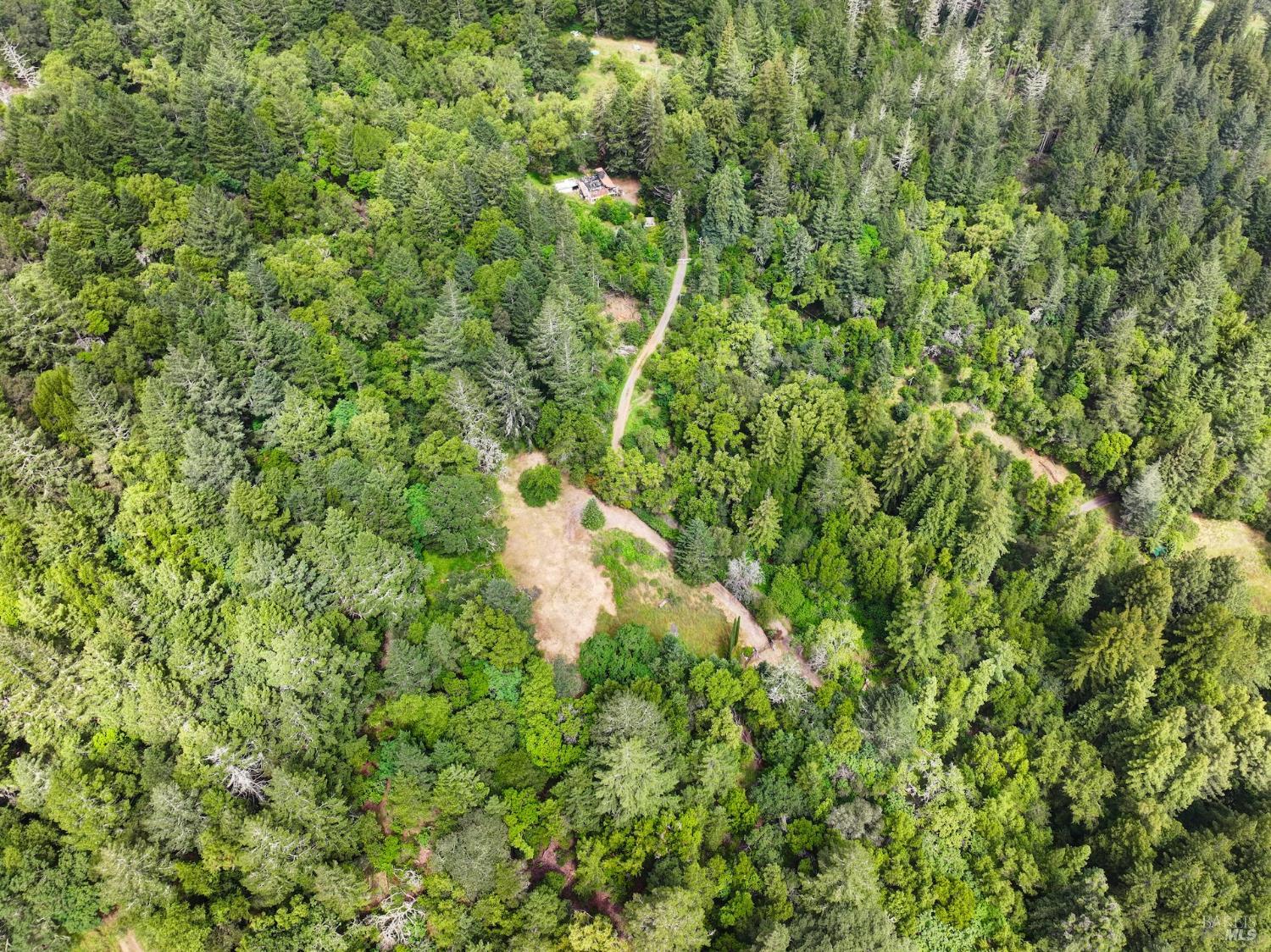 4615 Dry Creek Road Napa, CA 94558 - Photo 21 of 31 a view of a small yard with a tree