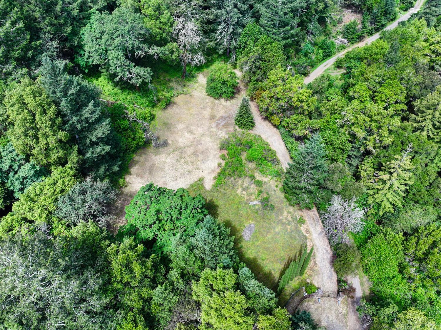 4615 Dry Creek Road Napa, CA 94558 - Photo 24 of 31 an aerial view of residential house with outdoor space and trees all around