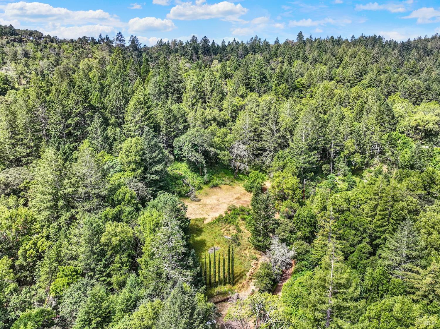4615 Dry Creek Road Napa, CA 94558 - Photo 25 of 31 a view of a lush green field with a tree in the background