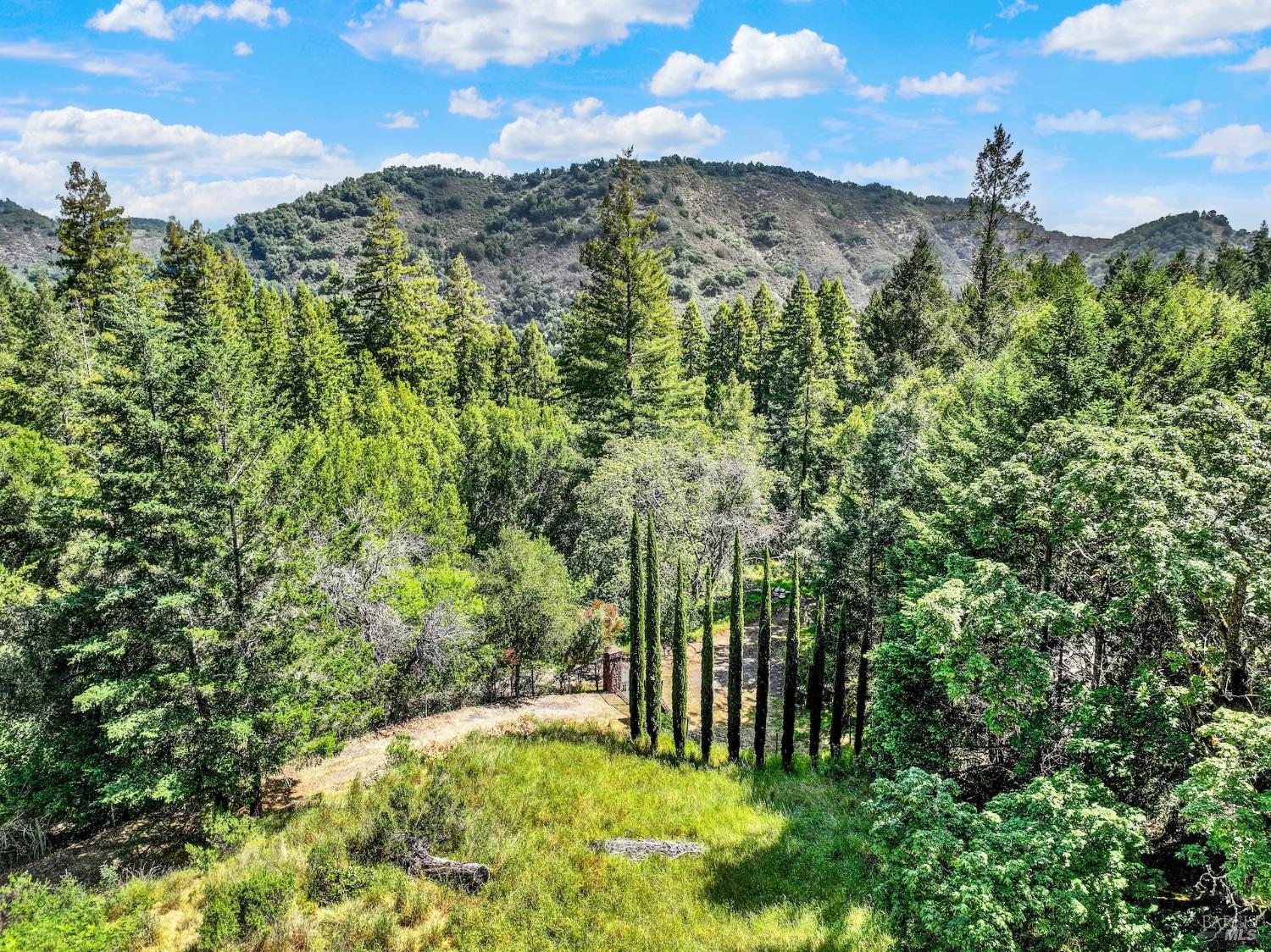 4615 Dry Creek Road Napa, CA 94558 - Photo 27 of 31 a view of a yard with an trees