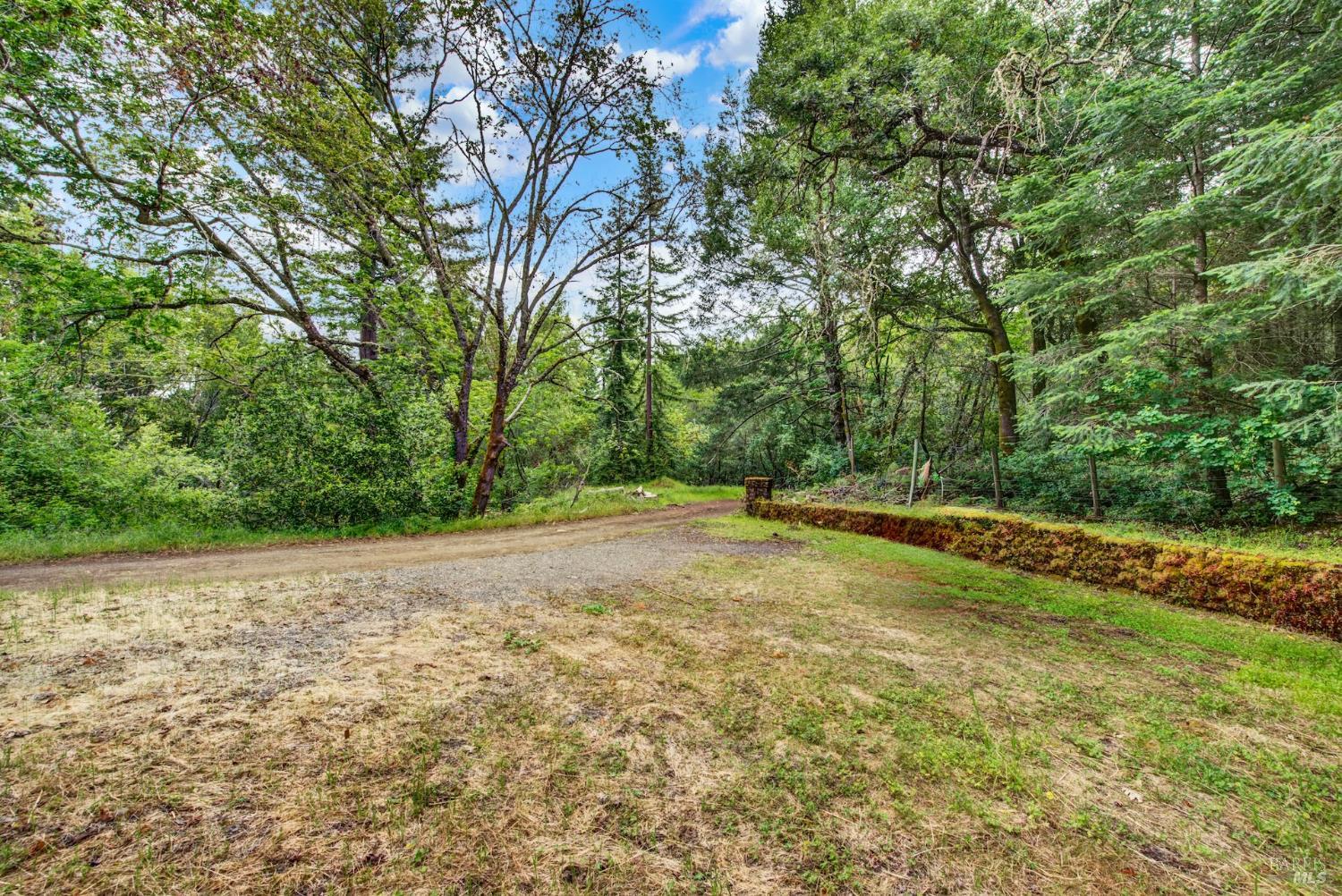 4615 Dry Creek Road Napa, CA 94558 - Photo 29 of 31 a view of a backyard with large trees