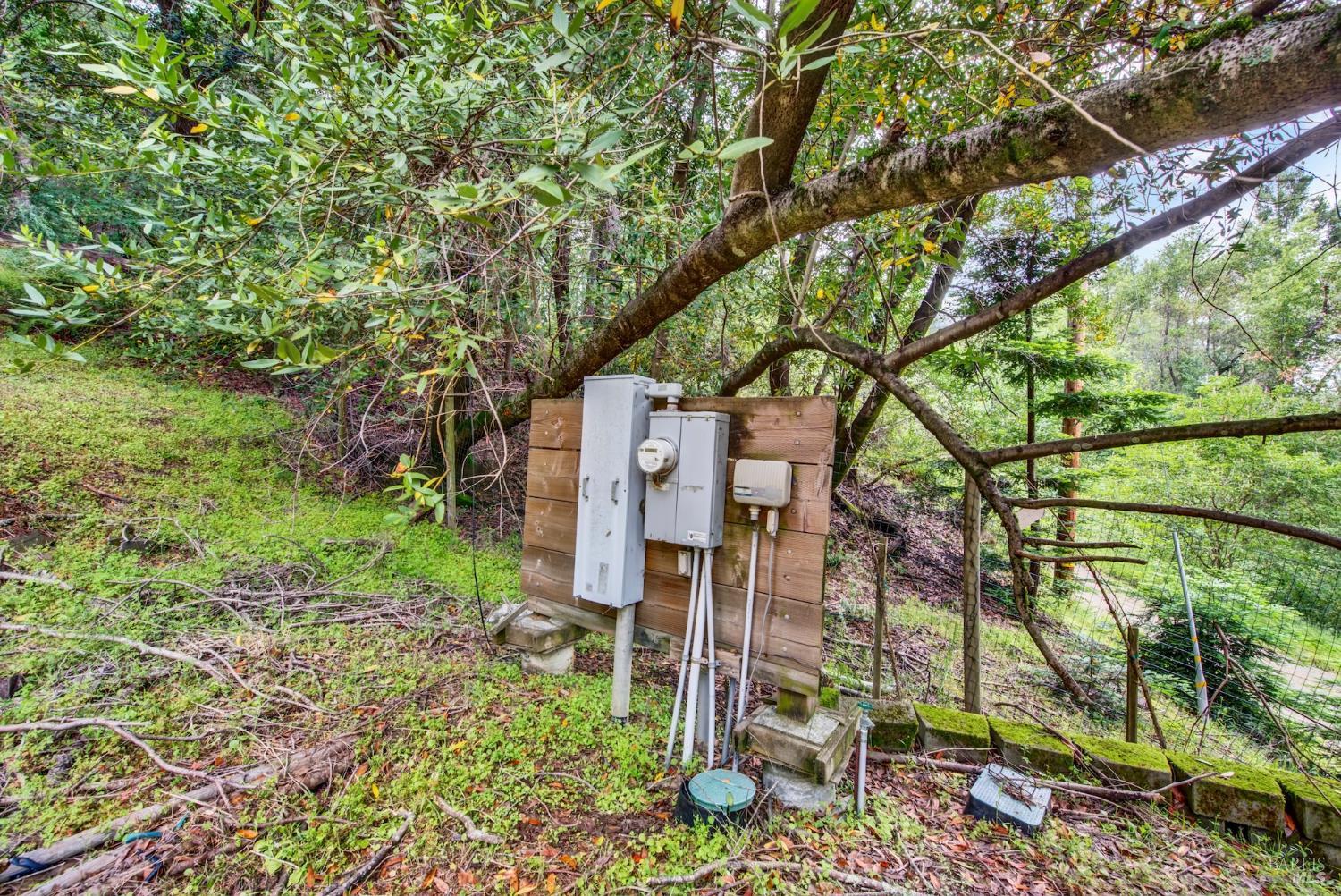 4615 Dry Creek Road Napa, CA 94558 - Photo 3 of 31 a backyard of a house with lots of green space