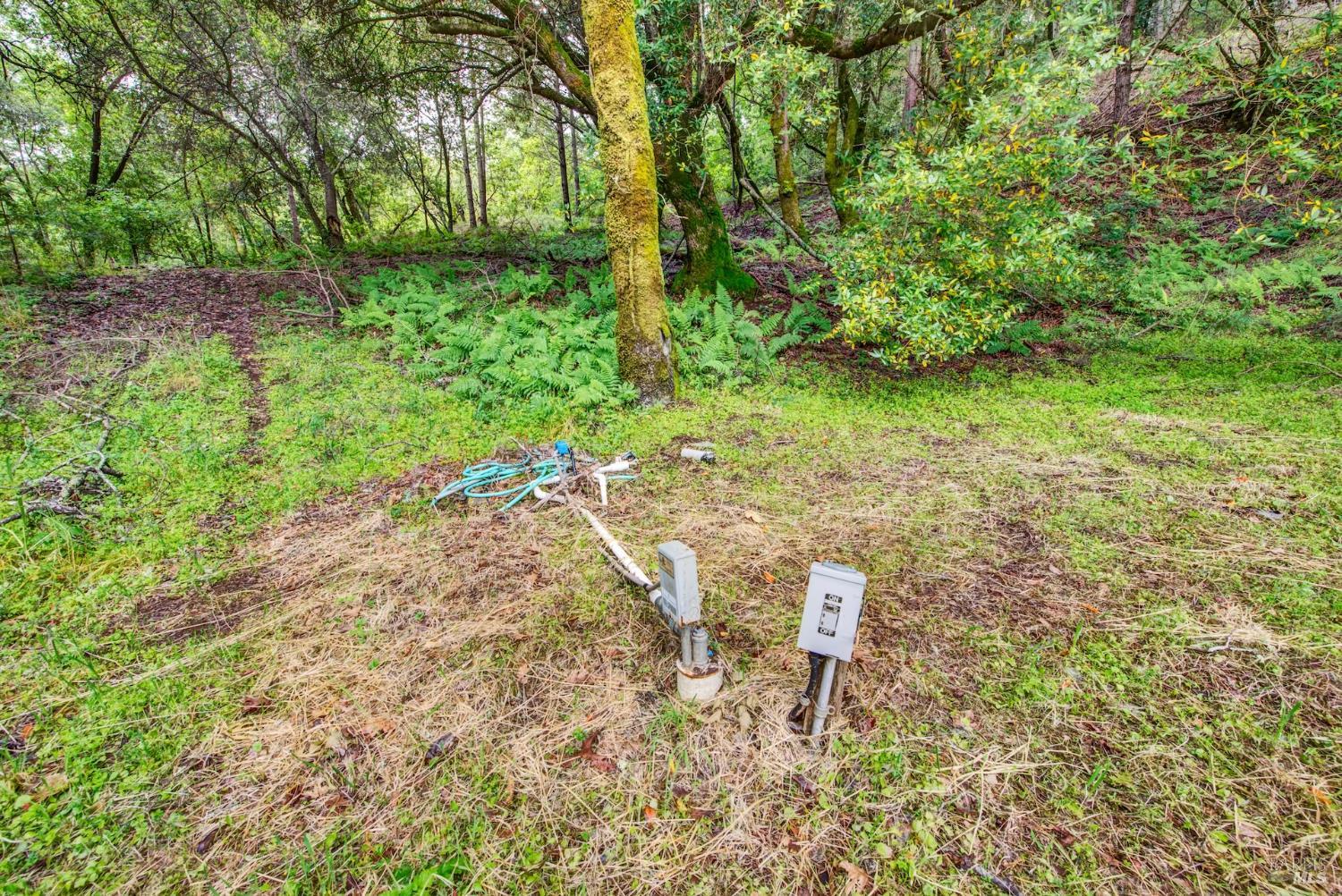 4615 Dry Creek Road Napa, CA 94558 - Photo 4 of 31 a view of yard